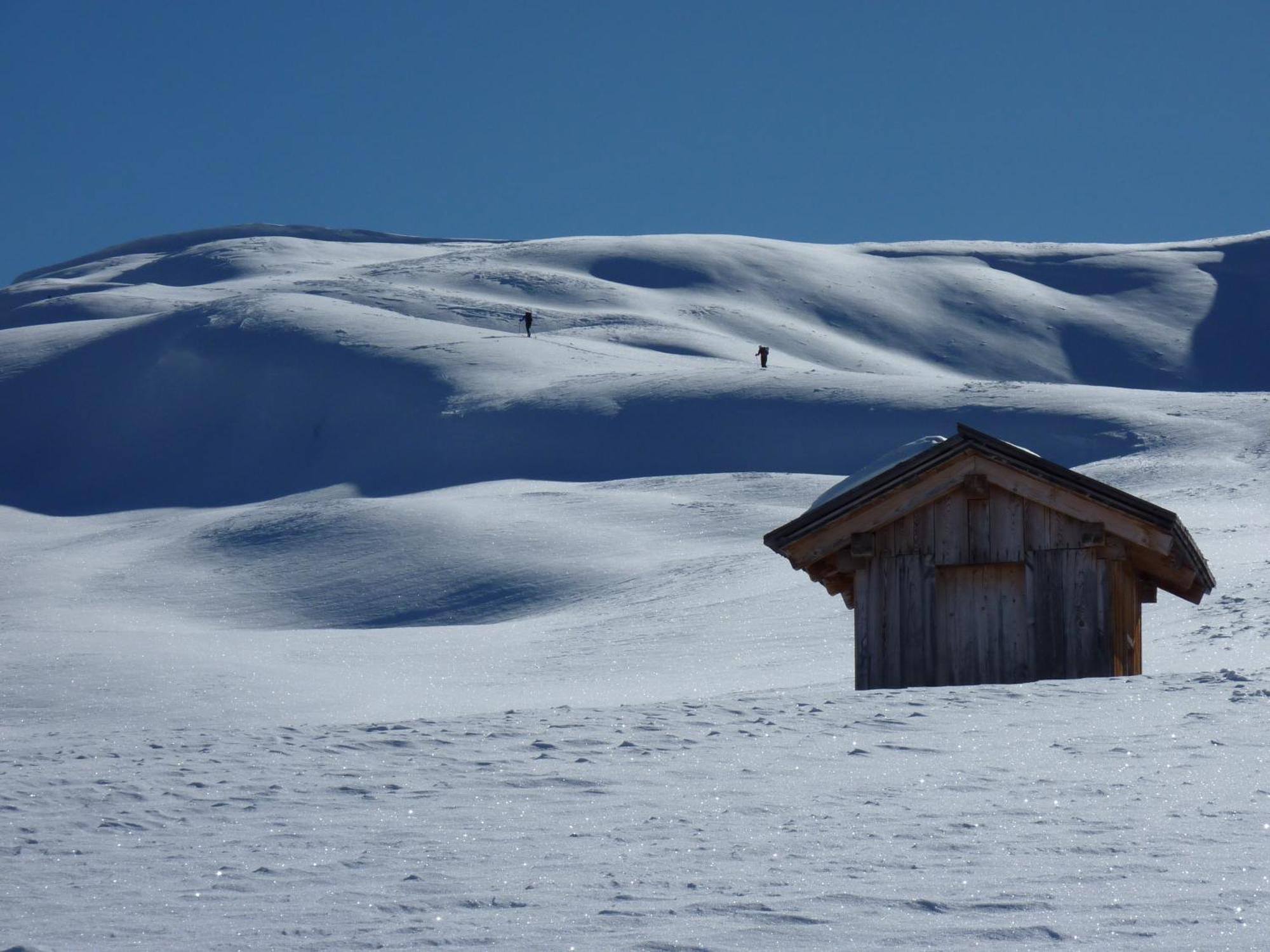 Apparthotel Bio Natur Refugium Blaslahof Santa Maddalena in Casies Exterior photo